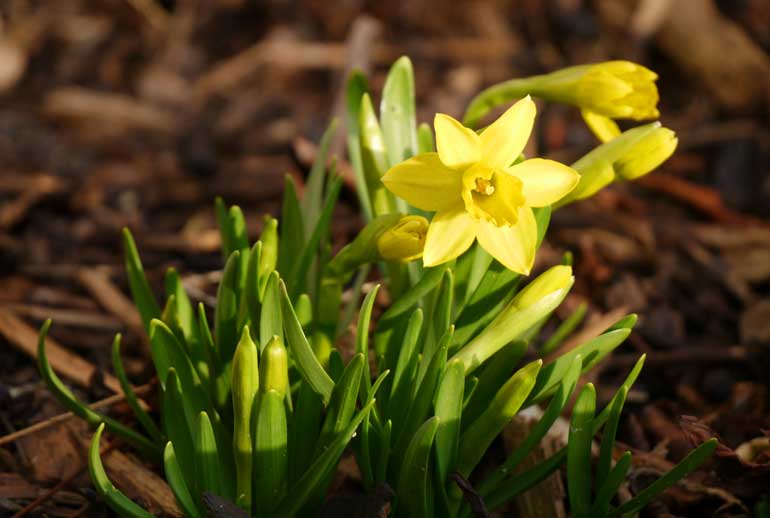 ReZ-Start-Ostern-003.jpg